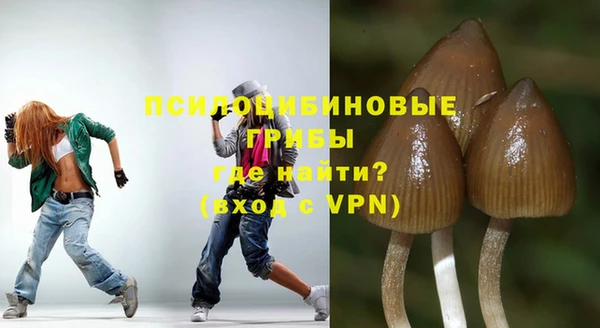 ПСИЛОЦИБИНОВЫЕ ГРИБЫ Беломорск