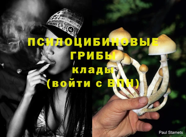 ешки Белокуриха