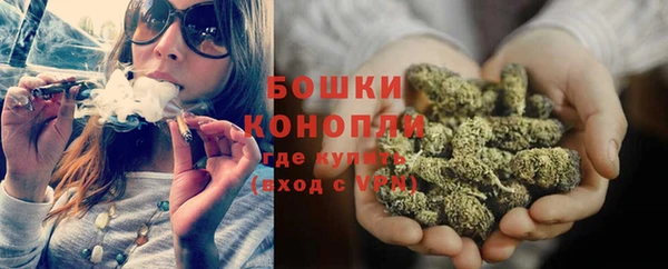 ешки Белокуриха