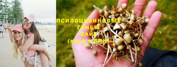 твердый Баксан