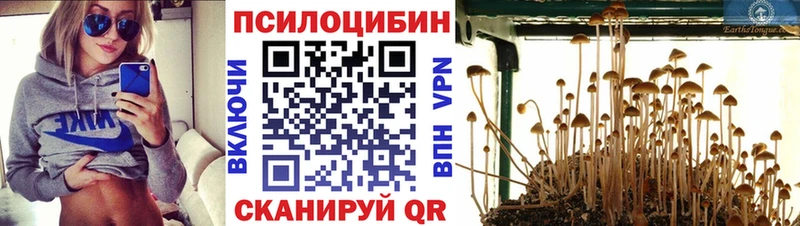 Псилоцибиновые грибы мицелий  мориарти официальный сайт  Калининец 